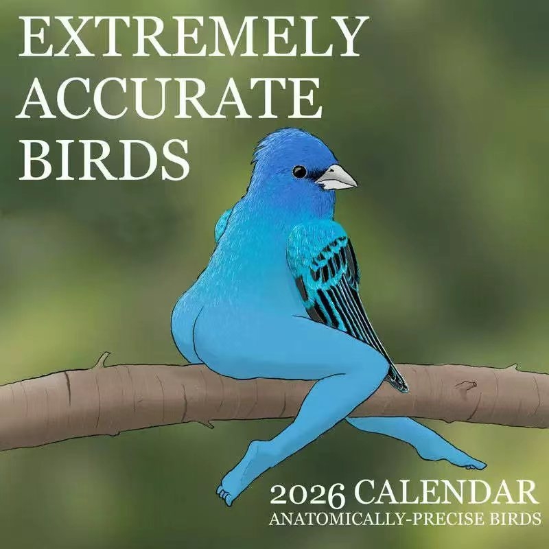 Home Decor Xmas Gifts - KALENDER DES EXTREMELY ACCURATE BIRDS2026YEAR Illustrierte