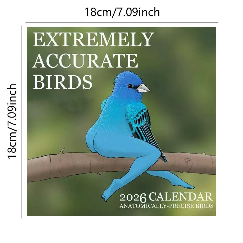 KALENDER DES EXTREMELY ACCURAT – Home Decor Xmas Gifts Bewertung und Preis