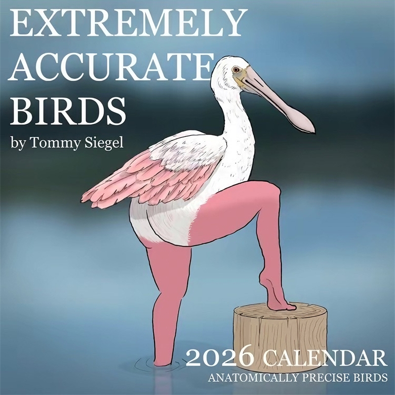 KALENDER DES EXTREMELY ACCURAT – Home Decor Xmas Gifts Bewertung und Preis