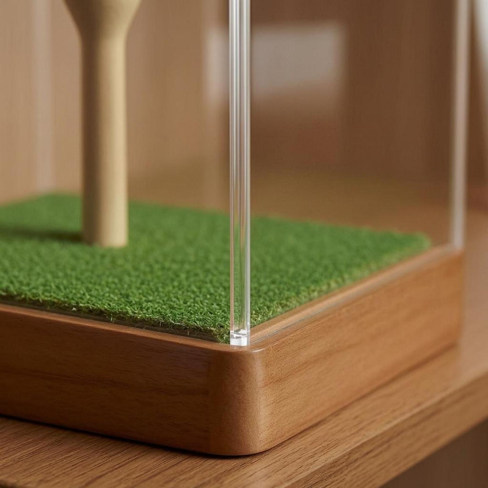 Golfball-Aufbewahrungsbox aus  – Home Decor Green Bewertung und Preis